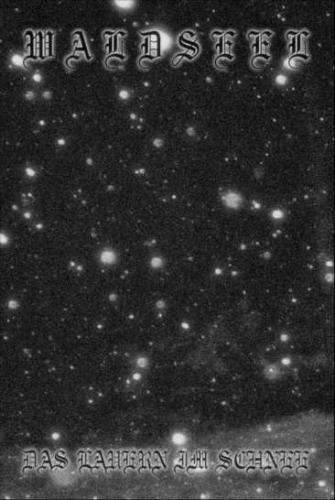 Waldseel : Das Lauern im Schnee